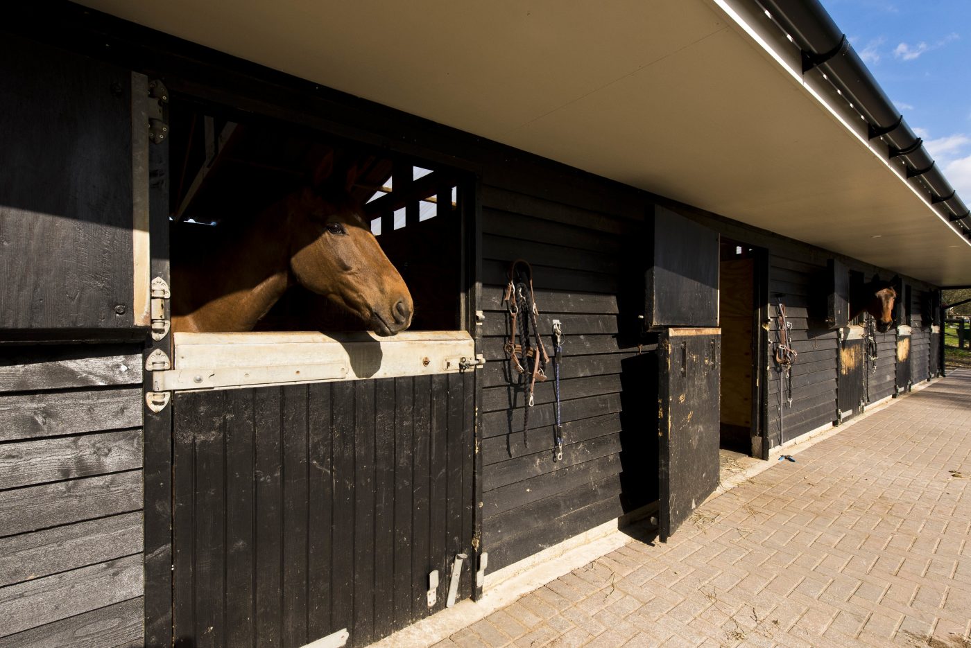 High_Pitfold_Farm_18-e1560254453223.jpg