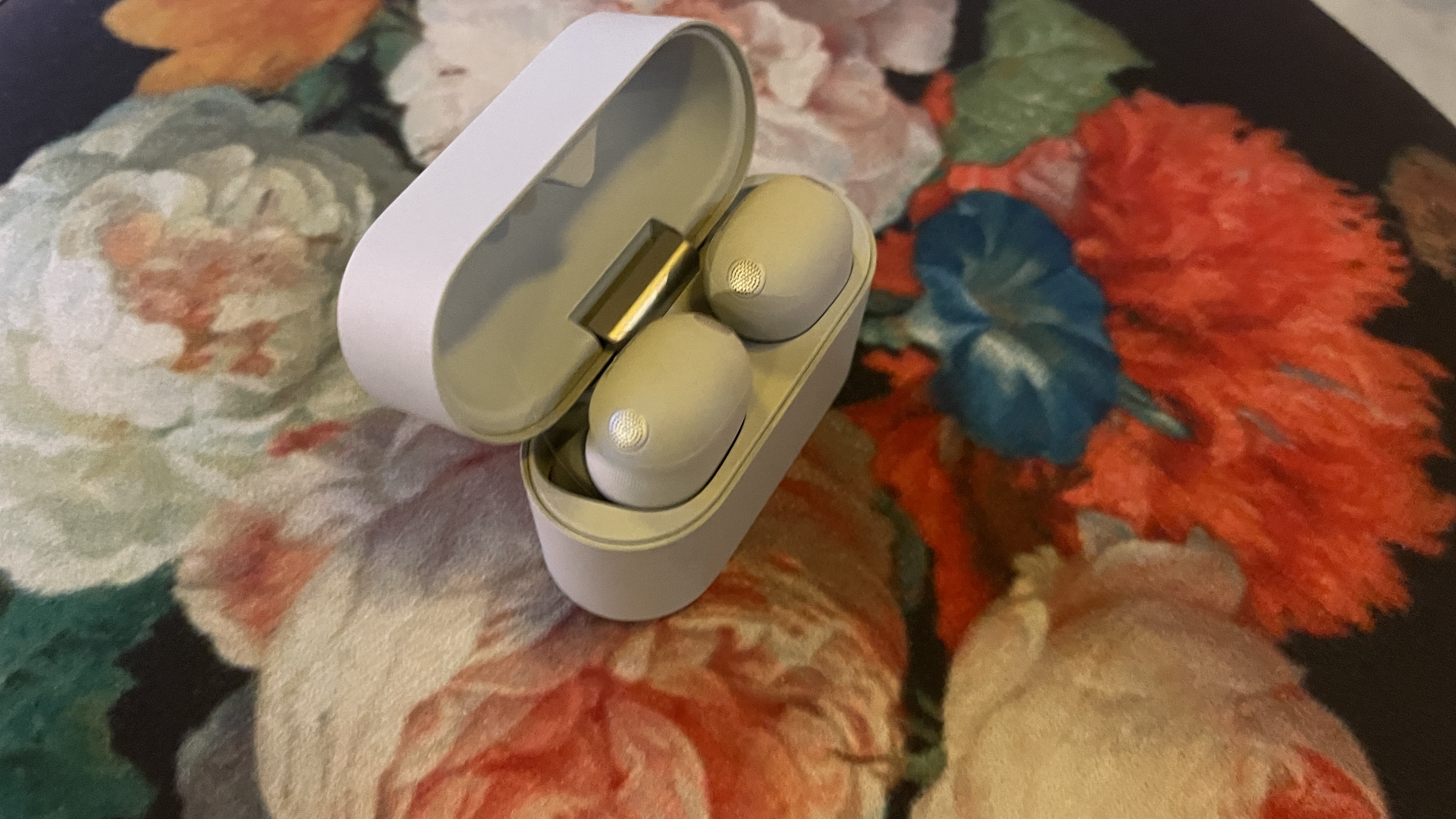 Sony WF-1000XM6 earbuds in case