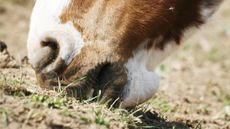 SandColic.jpg