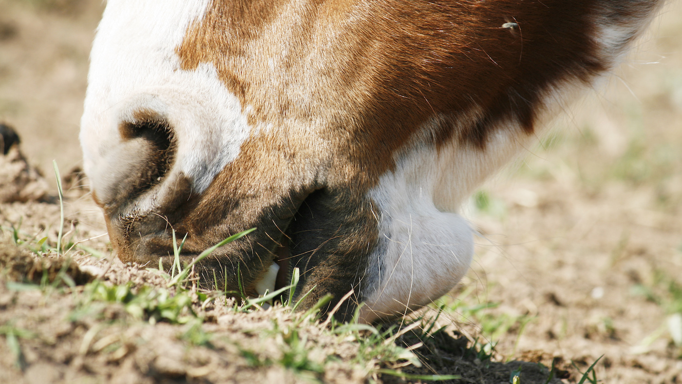 SandColic.jpg
