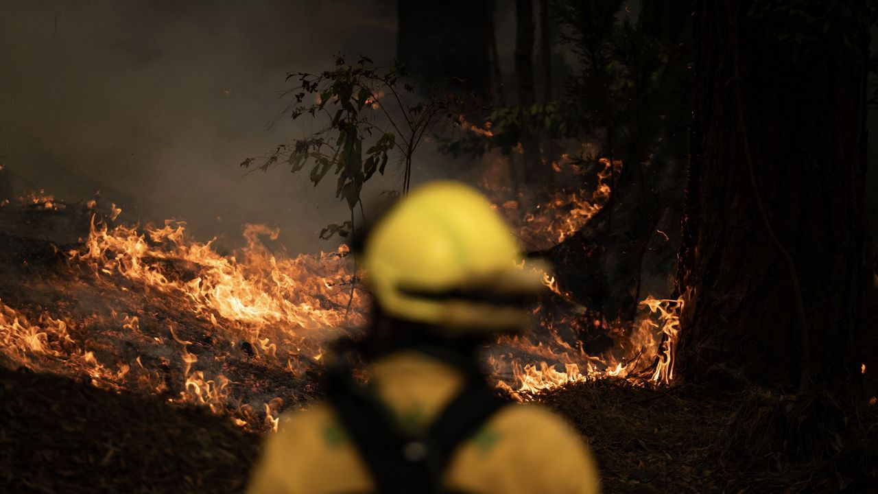 A firefighter looking at a wildire