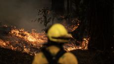 A firefighter looking at a wildire