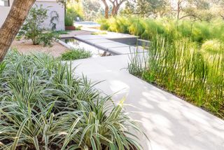 backyard path with cool toned plants with silver foliage and water feature by Eden Garden Design