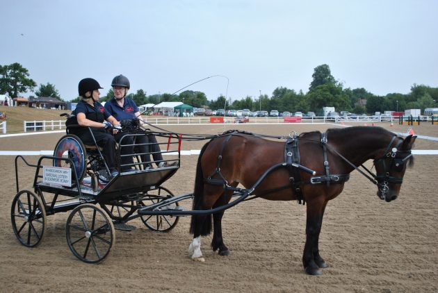 JaneOneillincarriage-1-e1531821435688.jpg