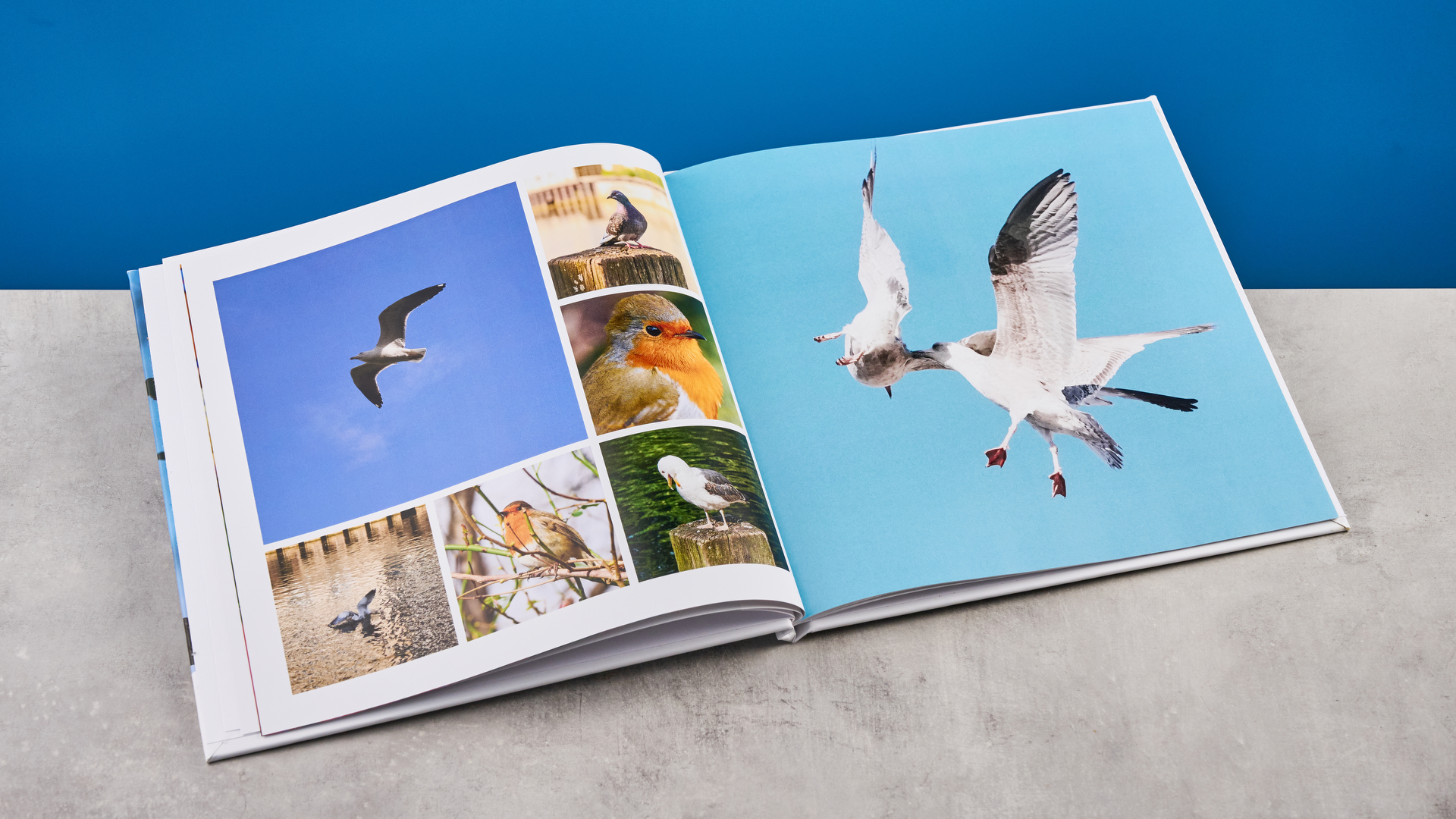 Images of Chatbooks photo book