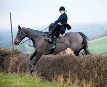 Side_saddle.jpg