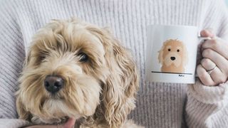 Personalised dog mug, £13.45