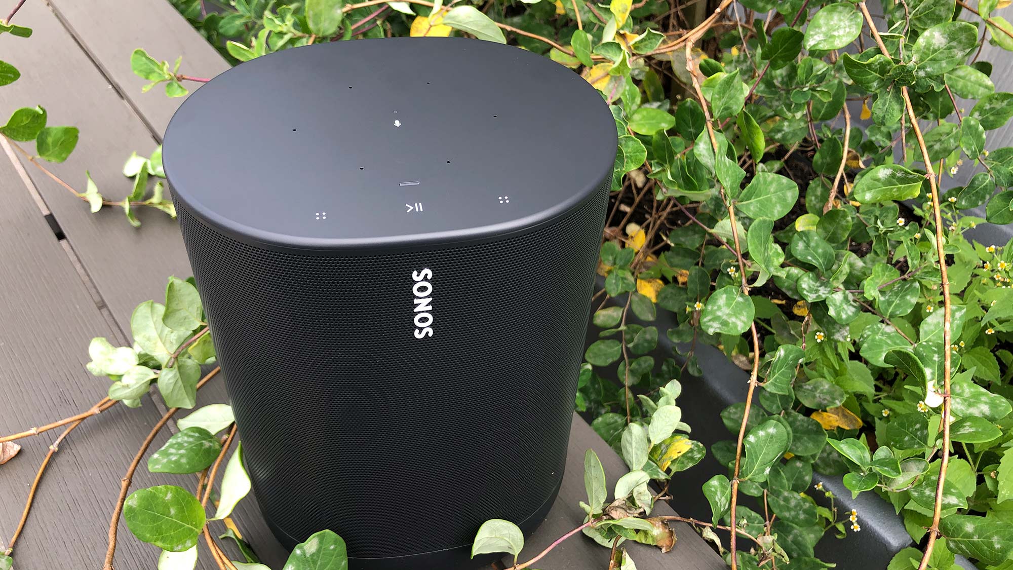best google home speakers: Sonos Move