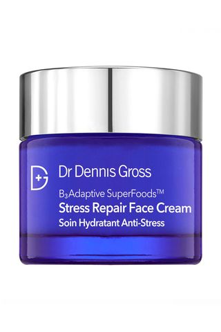 best moisturiser – Dr Dennis Gross B3 Adaptive Superfoods Stress Repair Face Cream