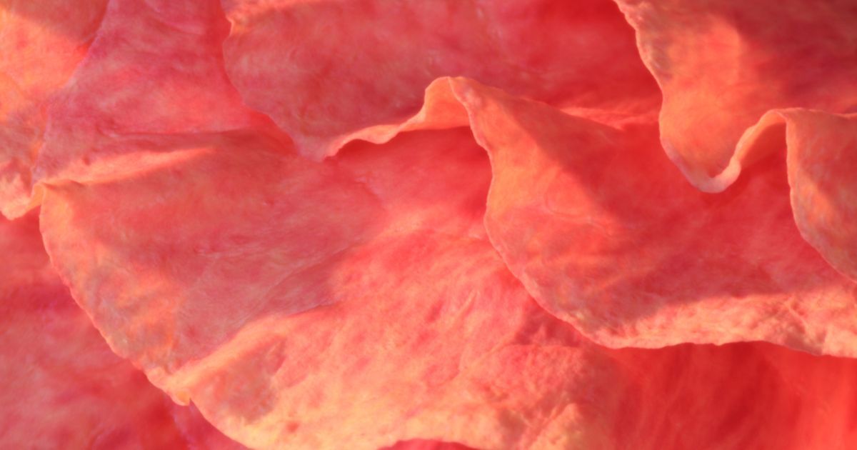 I’m a Relationships Editor – these are officially the only sex toy advent calendars worth your money this year I’m a Relationships Editor – these are officially the only sex toy advent calendars worth your money this year