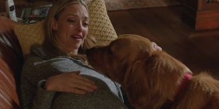 Amanda Seyfried and Enzo the dog actor in The Art of Racing in the Rain