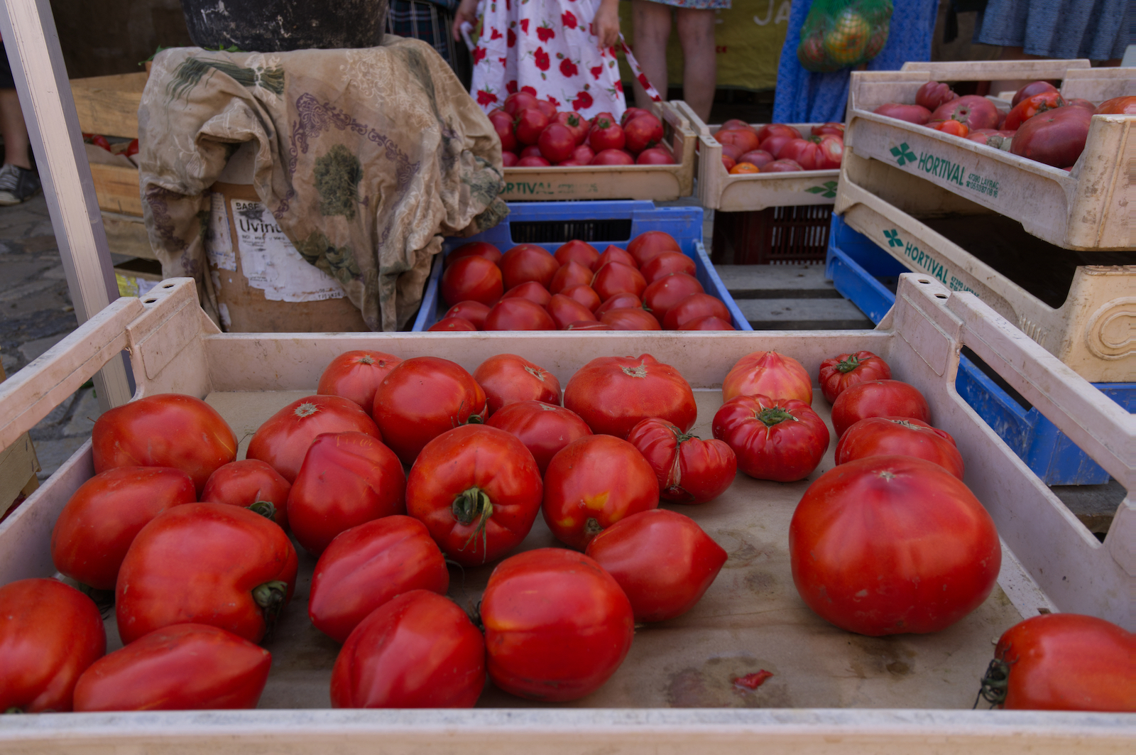 Sample image shot using the Sony Alpha A6700 of tomatoes at a French market