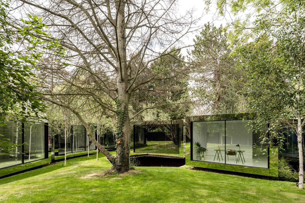 A silver birch tree in a garden with mirrored windows reflecting the garden to give the impression of invisible walls