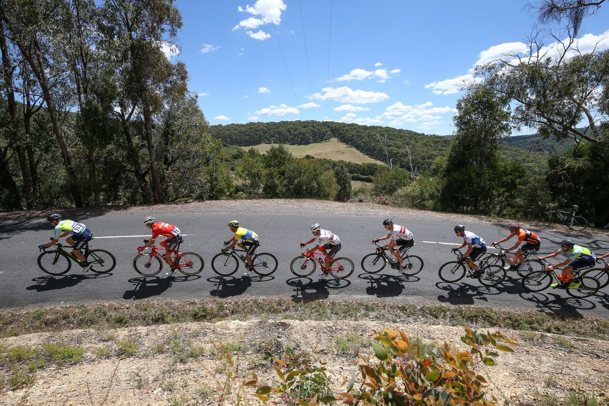 The peloton on the Kinglake