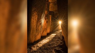 The bones were found in a recess at the end of a long passage within the Newgrange tomb, which is illuminated by the rising sun for a few days around midwinter each year.