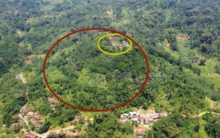 The pyramid-like structure remained hidden for so long because it has been obscured by foliage and so looks like a hill (red circle), with a megalith exposed at the top (yellow circle).