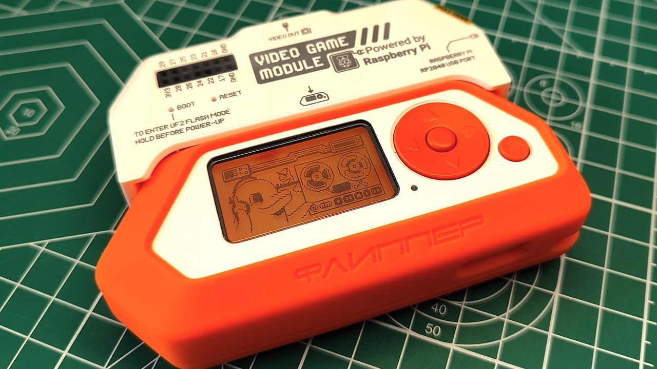 Flipper Video Game Module