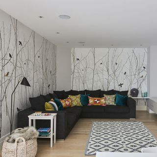 media room with painted wall and colourful pillows on sofa