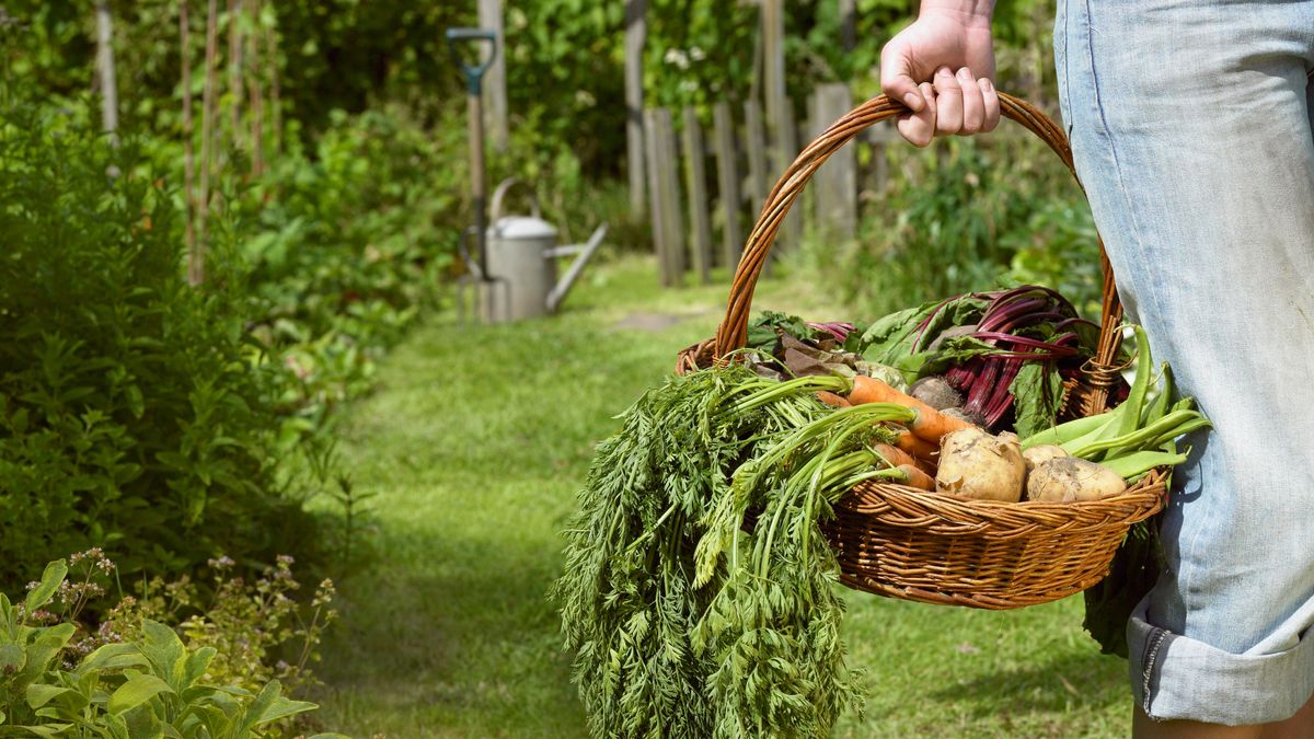 Sow These 10 Vegetable Seeds Outdoors in April for a Hassle-Free Harvest That Lasts Through Summer and Beyond