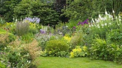 garden borders in a pretty cottage garden