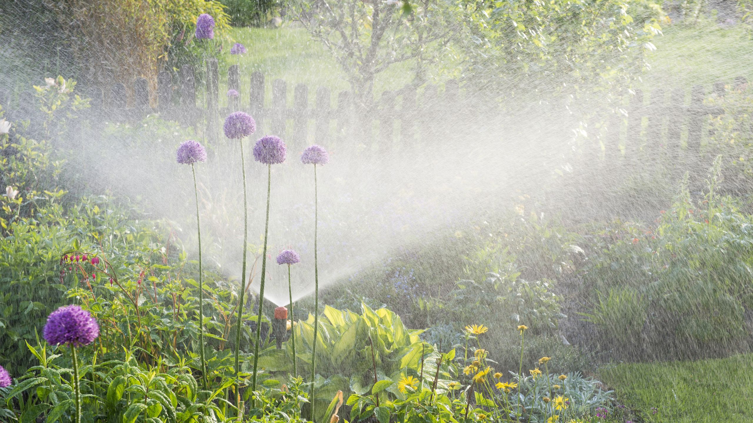 This $10 Watering Tool Saves You Time and Energy – You Can Water Two Parts of the Garden at Once