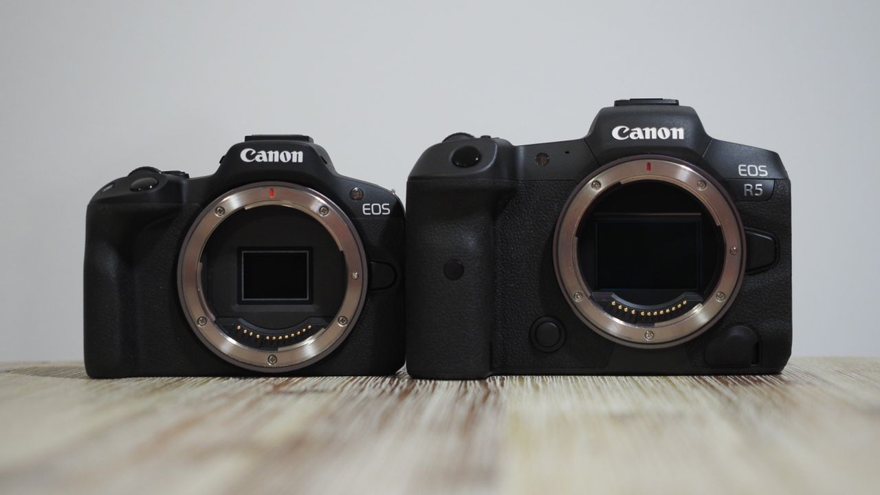 Canon EOS R50 next to Canon EOS R5