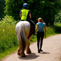 An introduction to horse riding An introduction to horse riding