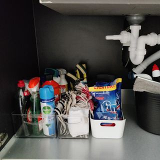 Under sink cupboard with cleaning supplies organised in trays