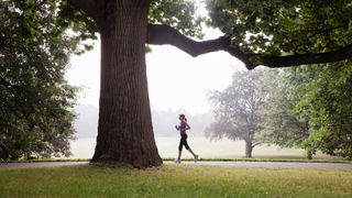 Woman running through misty park along a path early in the morning