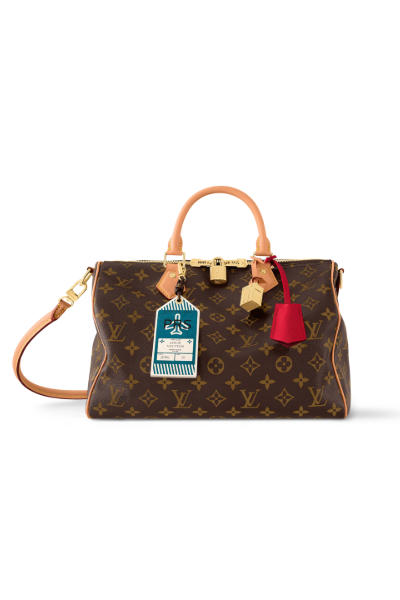 LOUIS VUITTON, Speedy Soft 30 Crafty