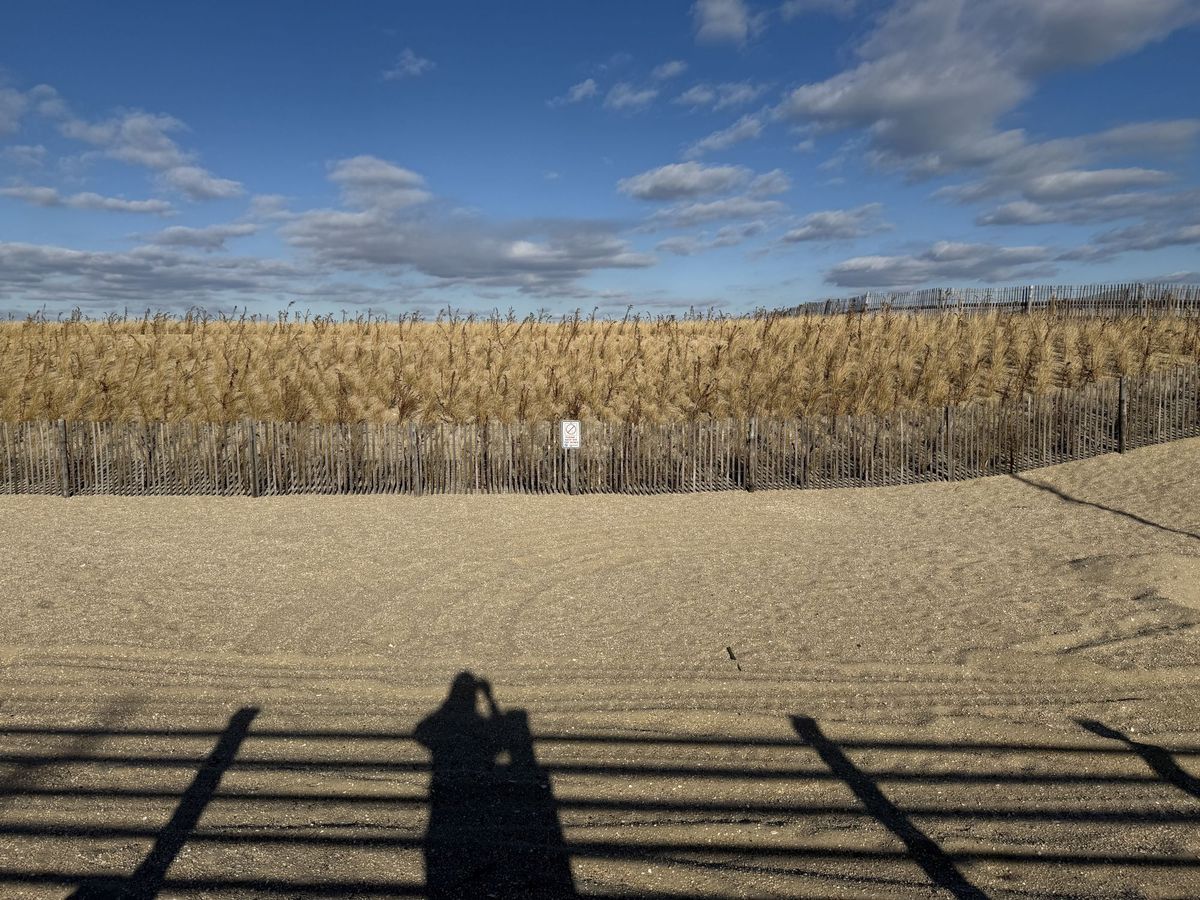 Apple iPhone 16 Pro Max main camera sample.