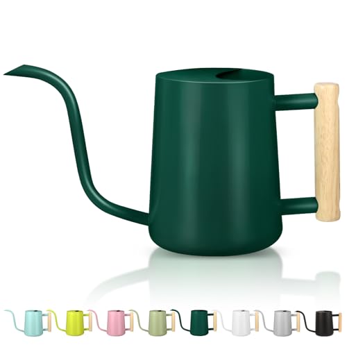 Watering Can Indoor Plants, 35oz Small Watering Can Indoor Stainless Steel Metal Watering Can Modern Decorative Watering Pot With Long Spout for Indoor House Plant Bonsai Garden Flowers (alpinegreen)
