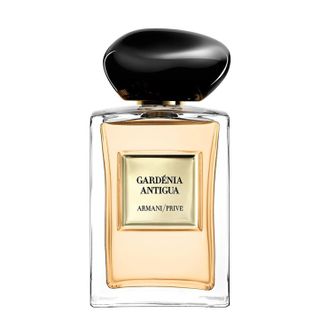 Armani Gardénia Antigua