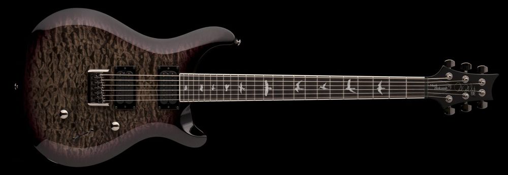 PRS SE Mark Holcomb