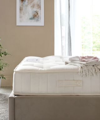 mattress in beige room with large window