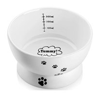 Y WHY Water Bowl with Measuring Lines