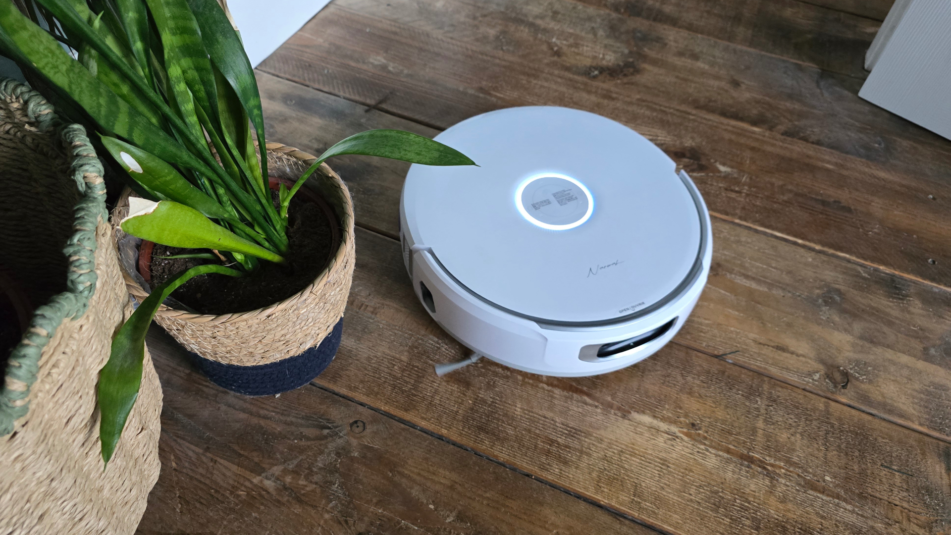 Narwal Flow on wood floor next to plants