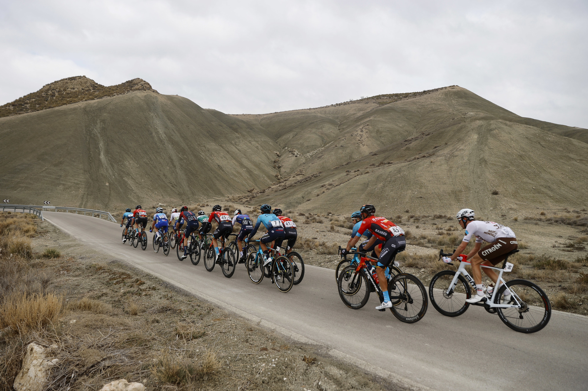 Vuelta a Andalucia - Ruta Del Sol 2022 - 68th Edition - 4th stage Cullar Vega - Baza 165,6 km - 19/02/2022 - Peloton - photo Luis Angel Gomez/SprintCyclingAgency©2022