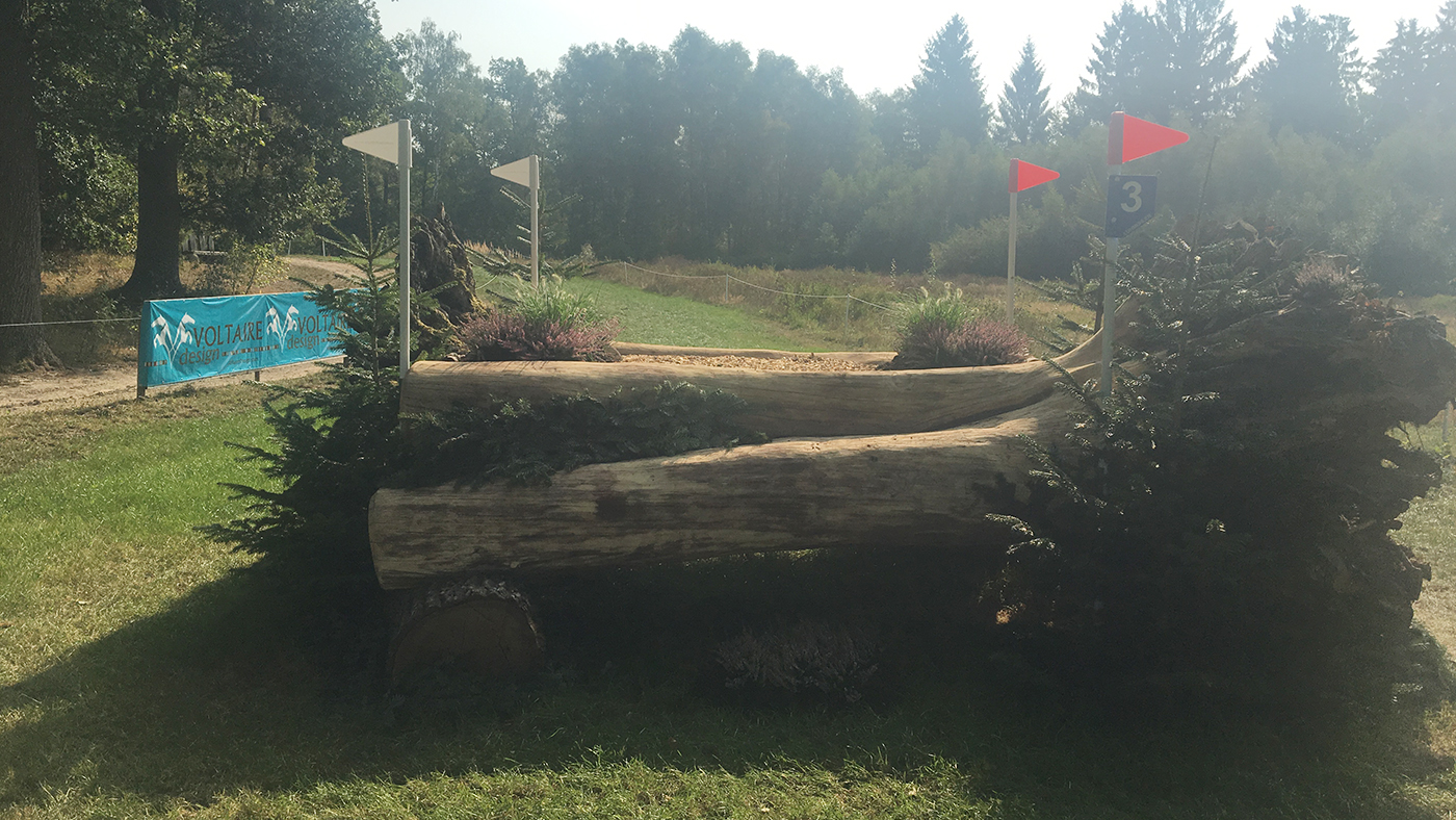 Fence 3 Luhmuhlen Euros 2019
