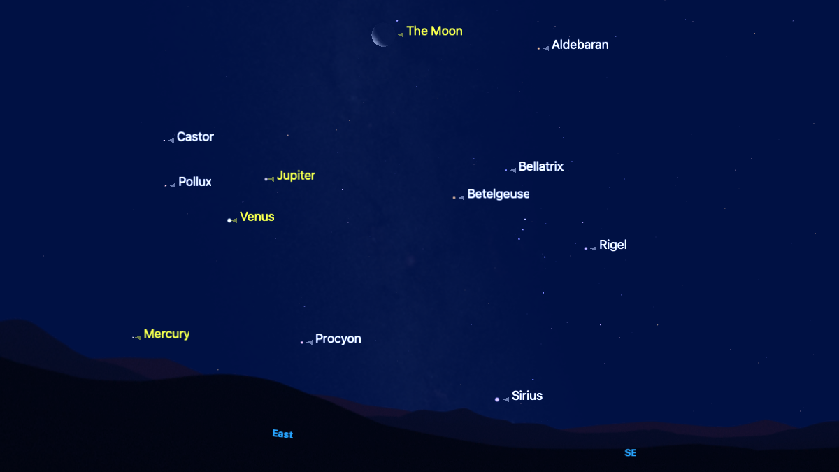 A simulation of the night sky showing the positions of planets and prominent stars for the night of Aug. 17. Mercury, Venus, Jupiter and the moon form a diagonal line above the horizon.