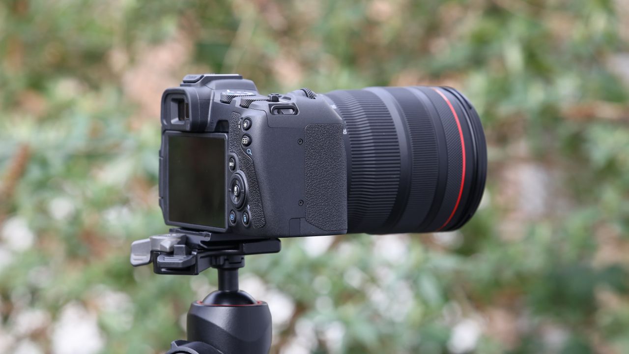 Canon EOS R8 mirrorless digital camera