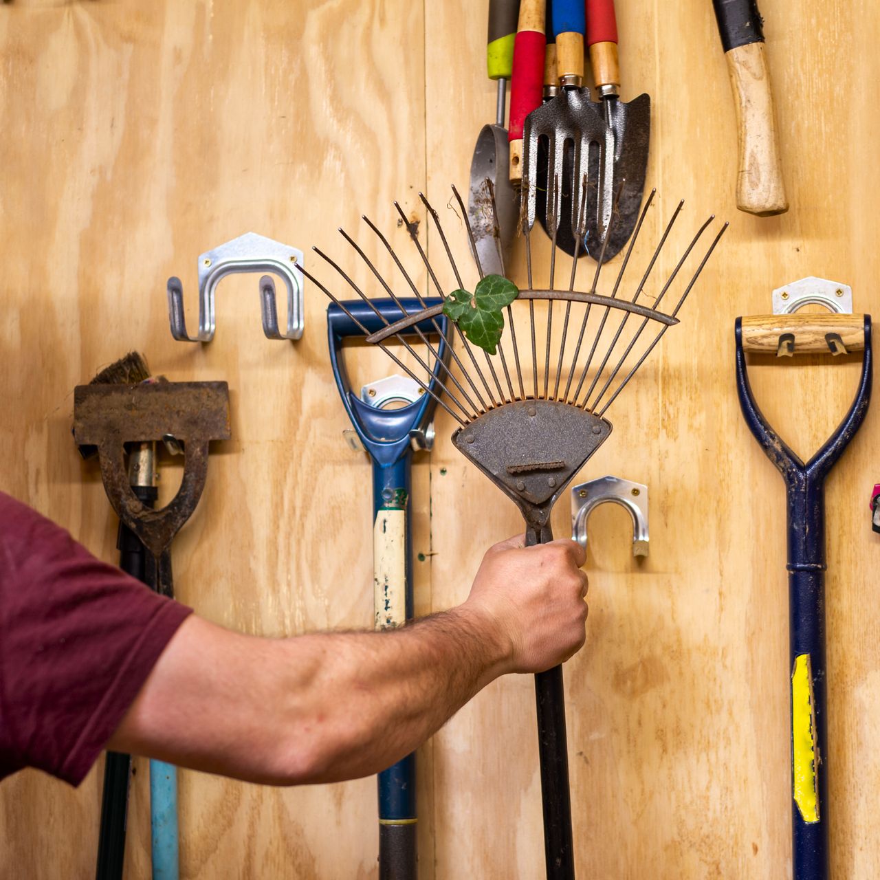 man reaching for a rake in a shed full of tools