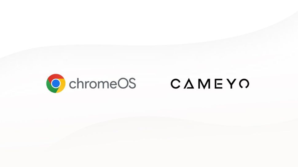 Google snaps up software virtualization firm Cameyo to help make legacy Windows apps live on in ChromeOS