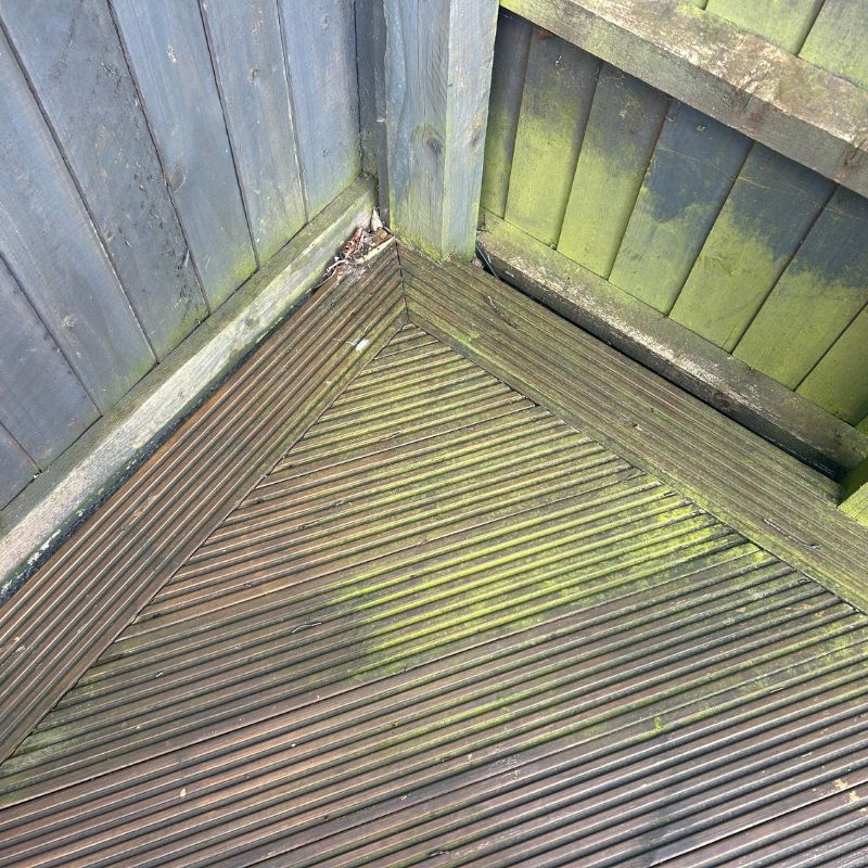 Webb pressure washer - before cleaning a green decking