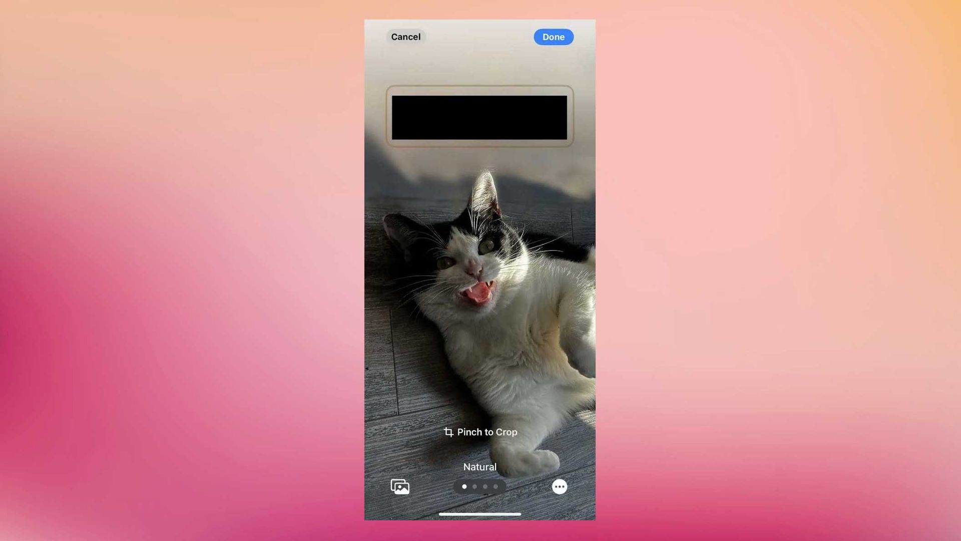 contact poster step by step