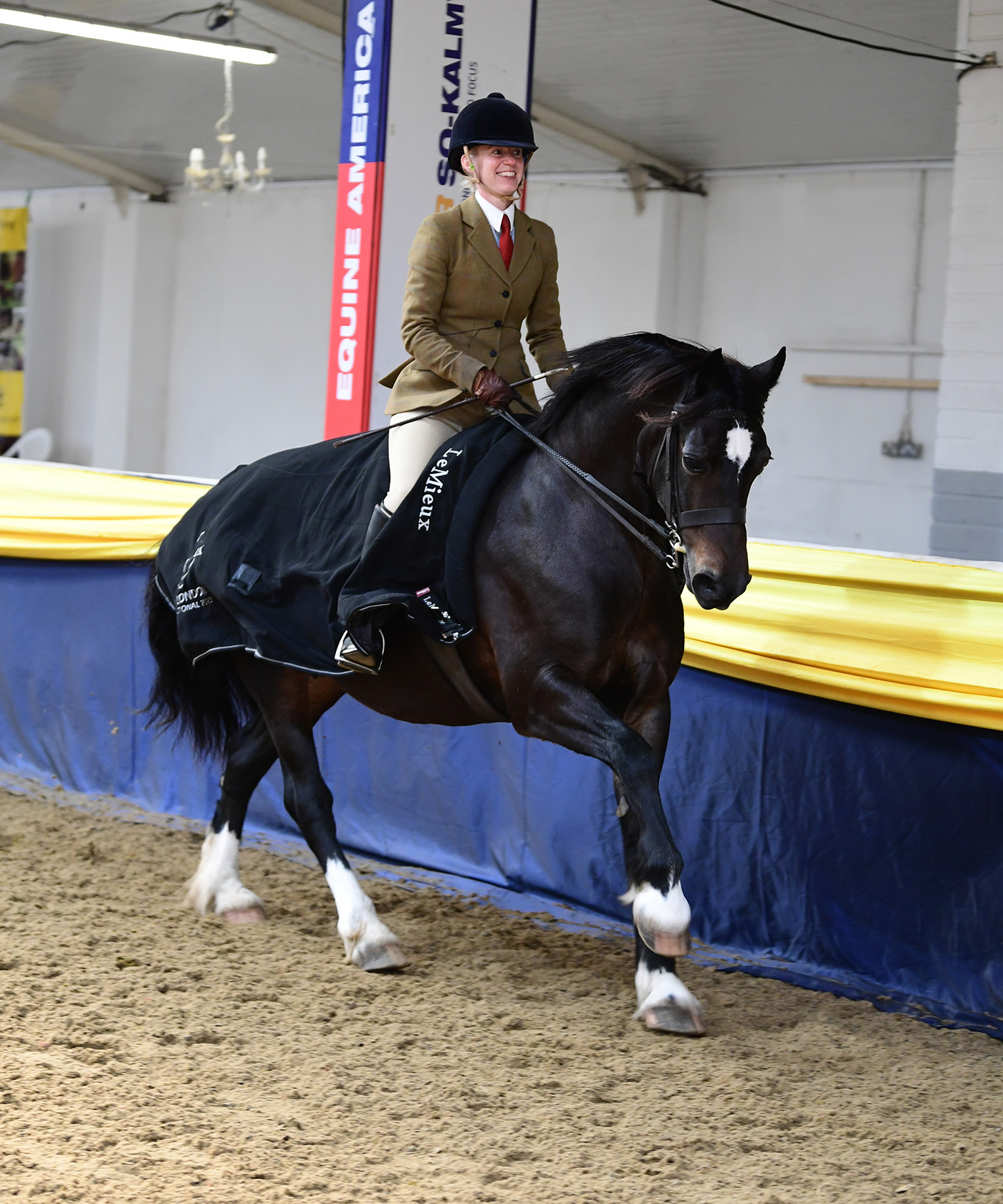 Heritage Show 15.10.2378978