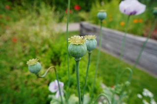 Sample photo shot on the Sony ZV-E10