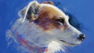 Pastel jack russell dog portrait on a bright blue background