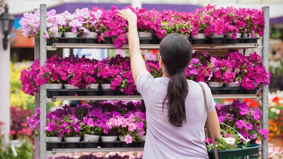 Former Garden Center Manager Reveals 5 Plants You Should Always Buy on Clearance – and 3 Plants to Skip