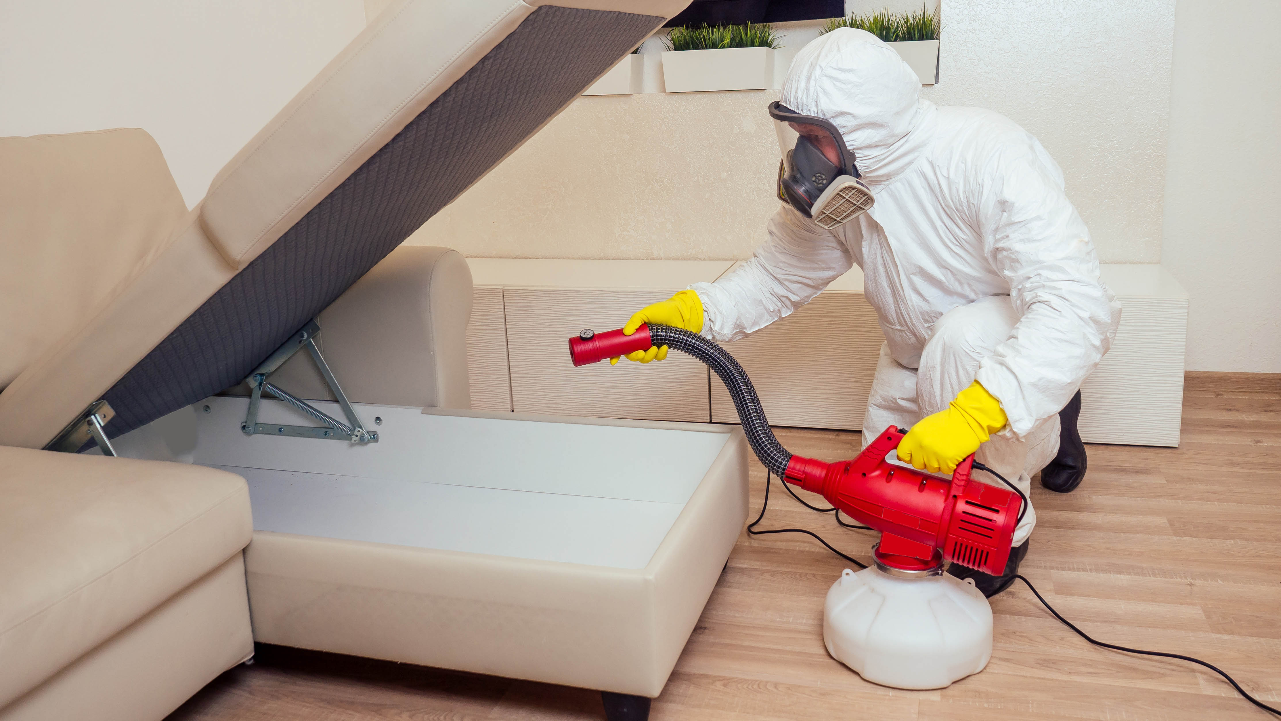A professional exterminator fumigating a couch